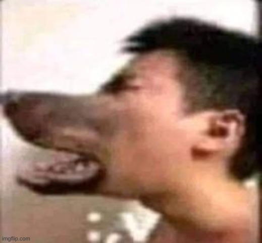 whay | made w/ Imgflip meme maker