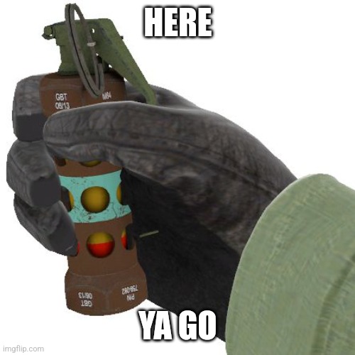 Use it wisely | HERE; YA GO | image tagged in flashbang | made w/ Imgflip meme maker