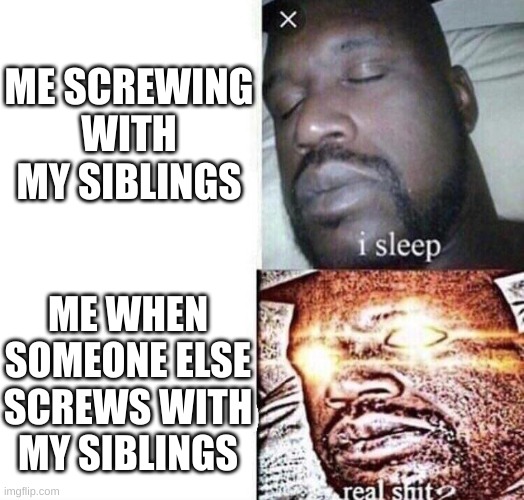 no one messes with my siblings but me | ME SCREWING WITH MY SIBLINGS; ME WHEN SOMEONE ELSE SCREWS WITH MY SIBLINGS | image tagged in i sleep real shit | made w/ Imgflip meme maker