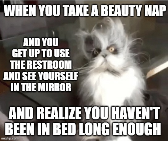 nap cat | WHEN YOU TAKE A BEAUTY NAP; AND YOU GET UP TO USE THE RESTROOM AND SEE YOURSELF IN THE MIRROR; AND REALIZE YOU HAVEN'T BEEN IN BED LONG ENOUGH | image tagged in nap cat | made w/ Imgflip meme maker