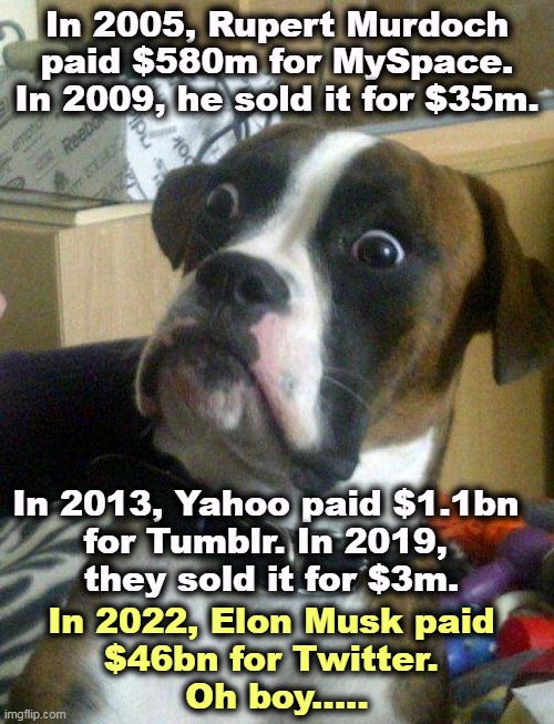 Rich guys are not smarter. | In 2005, Rupert Murdoch paid $580m for MySpace. In 2009, he sold it for $35m. In 2013, Yahoo paid $1.1bn 
for Tumblr. In 2019, 
they sold it for $3m. In 2022, Elon Musk paid 
$46bn for Twitter. 
Oh boy..... | image tagged in blankie the shocked dog,rich,businessman,not,smart | made w/ Imgflip meme maker