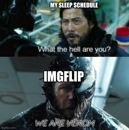 btw this template is public; click the tab | MY SLEEP SCHEDULE; IMGFLIP | image tagged in we are venom | made w/ Imgflip meme maker