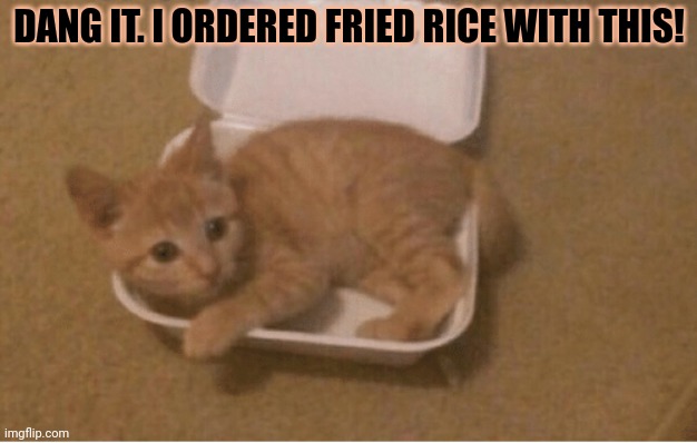 You forgot to cook this | DANG IT. I ORDERED FRIED RICE WITH THIS! | image tagged in take out,chinese food,nom nom nom,wheres my fried rice | made w/ Imgflip meme maker