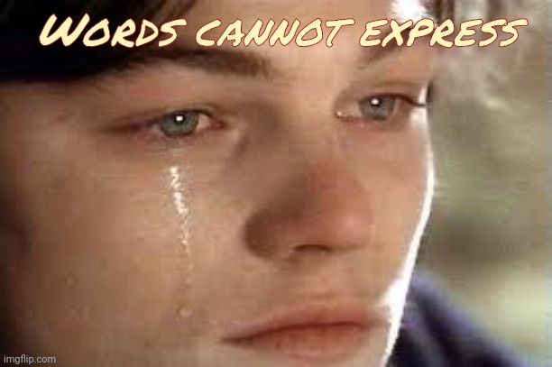 It's Beautiful | Words cannot express | image tagged in it's beautiful | made w/ Imgflip meme maker