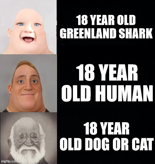 Mr. Incredible becoming old (18 year old Greenland shark vs human vs dog or cat) | 18 YEAR OLD GREENLAND SHARK; 18 YEAR OLD HUMAN; 18 YEAR OLD DOG OR CAT | image tagged in mr incredible becoming old | made w/ Imgflip meme maker