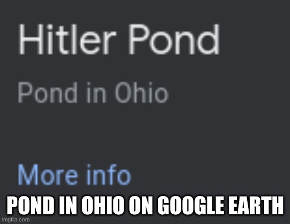 cant have a pond in ohio | POND IN OHIO ON GOOGLE EARTH | image tagged in cant have a pond in ohio | made w/ Imgflip meme maker