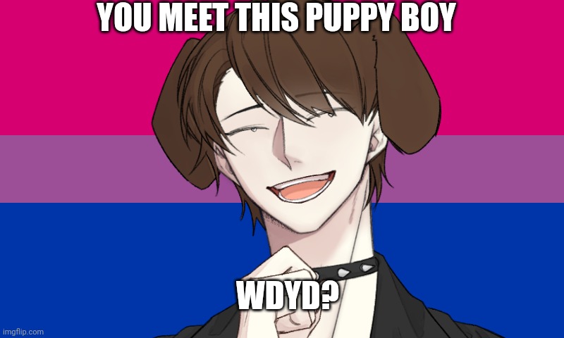 You meet this puppy boy, wdyd? | WDYD? | made w/ Imgflip meme maker