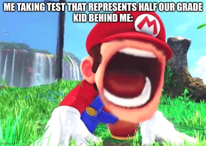 Mario screaming | ME TAKING TEST THAT REPRESENTS HALF OUR GRADE
KID BEHIND ME: | image tagged in mario screaming | made w/ Imgflip meme maker