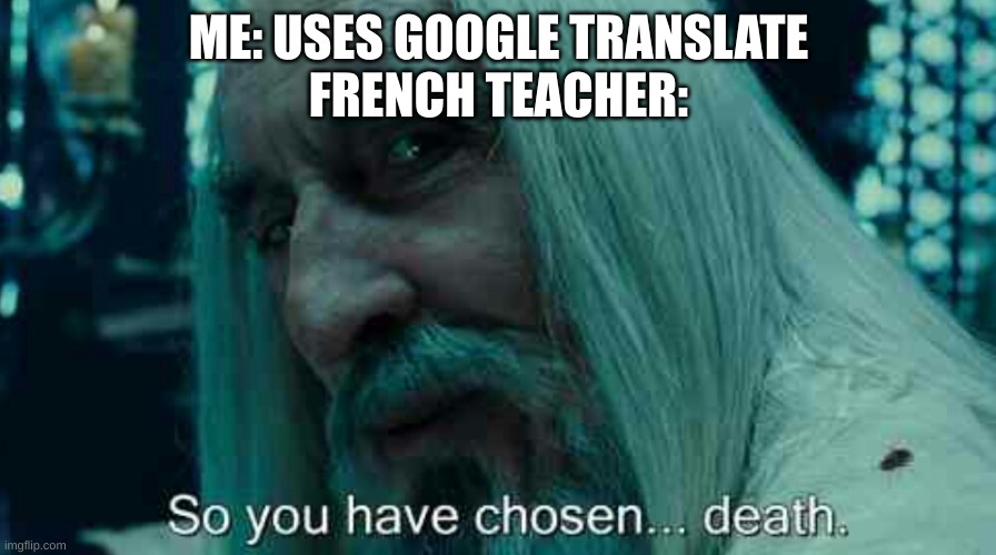So you have chosen death | ME: USES GOOGLE TRANSLATE
FRENCH TEACHER: | image tagged in so you have chosen death | made w/ Imgflip meme maker