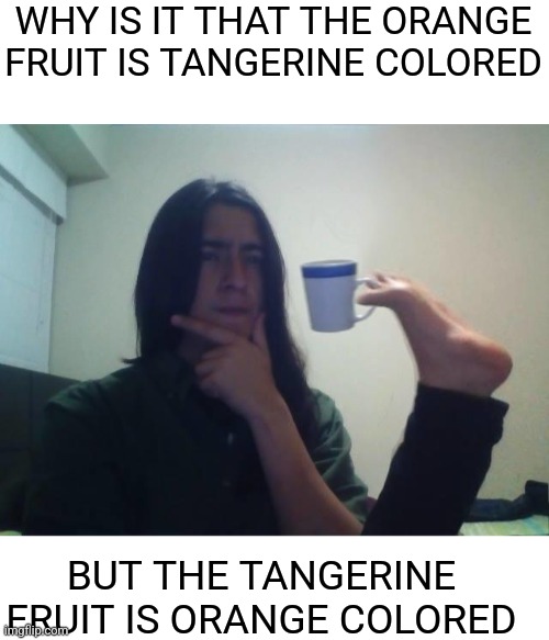 Yeah, logic doesn't make sense anymore. | WHY IS IT THAT THE ORANGE FRUIT IS TANGERINE COLORED; BUT THE TANGERINE FRUIT IS ORANGE COLORED | image tagged in blank white template,hmmmm | made w/ Imgflip meme maker