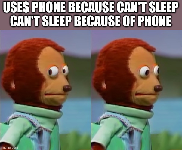 puppet Monkey looking away | USES PHONE BECAUSE CAN'T SLEEP
CAN'T SLEEP BECAUSE OF PHONE | image tagged in puppet monkey looking away | made w/ Imgflip meme maker