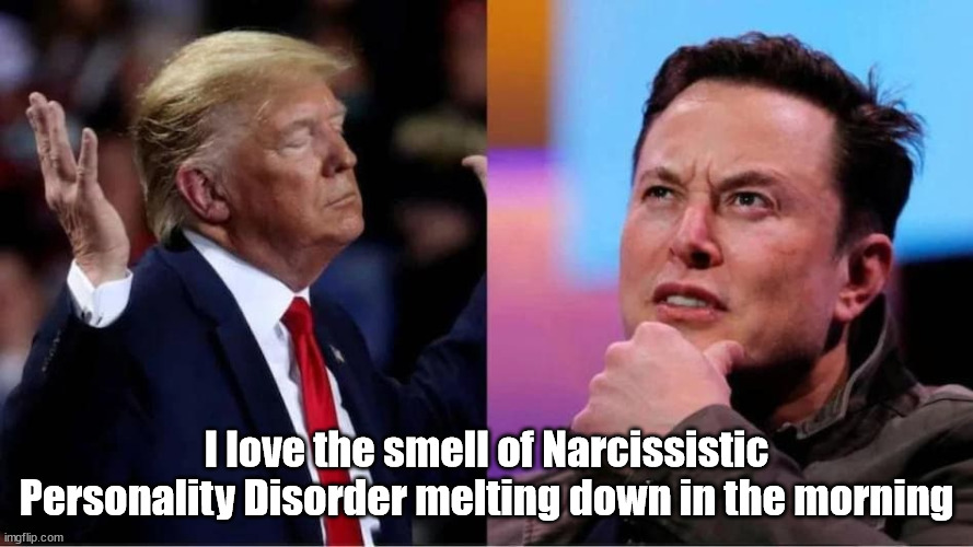 NPD Meltdown | I love the smell of Narcissistic Personality Disorder melting down in the morning | image tagged in donald trump,trump,elon musk,malignant narcissism | made w/ Imgflip meme maker
