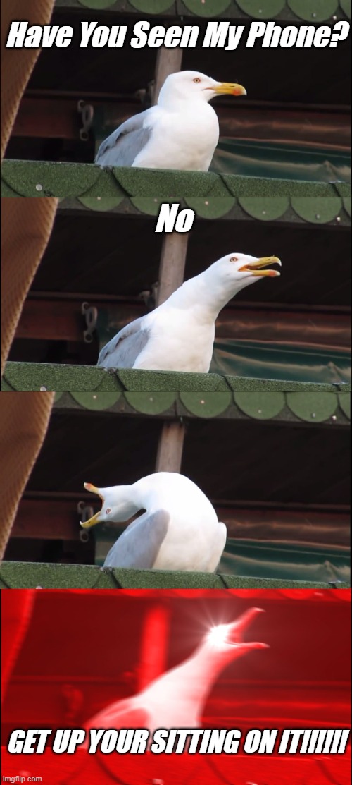 Sibling Relationship Go To The Comments And Confirm This | Have You Seen My Phone? No; GET UP YOUR SITTING ON IT!!!!!! | image tagged in memes,inhaling seagull | made w/ Imgflip meme maker