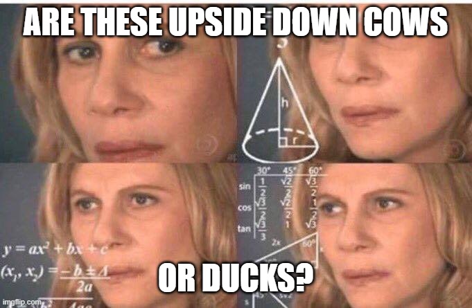 ARE THESE UPSIDE DOWN COWS OR DUCKS? | image tagged in math lady/confused lady | made w/ Imgflip meme maker