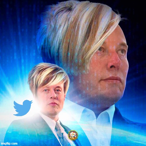 Elon Musk Twitter Space Karen | image tagged in elon musk twitter space karen | made w/ Imgflip meme maker
