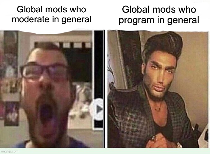 Average *BLANK* Fan VS Average *BLANK* Enjoyer | Global mods who program in general; Global mods who moderate in general | image tagged in average blank fan vs average blank enjoyer | made w/ Imgflip meme maker