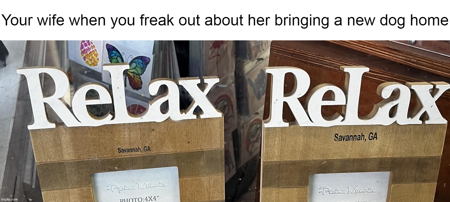 Your wife when you freak out about her bringing a new dog home | image tagged in meme,memes,humor,funny,signs | made w/ Imgflip meme maker