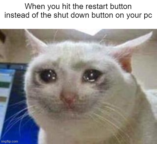 Pain | When you hit the restart button instead of the shut down button on your pc | image tagged in sad cat,memes,funny,relatable | made w/ Imgflip meme maker