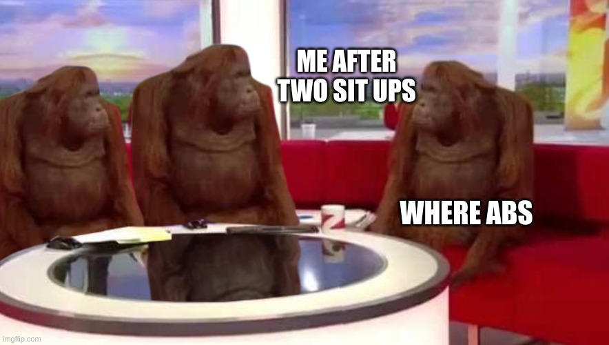 where monkey | ME AFTER TWO SIT UPS; WHERE ABS | image tagged in where monkey | made w/ Imgflip meme maker