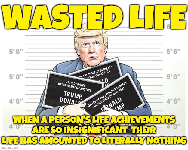 WASTED LIFE | WASTED LIFE; WHEN A PERSON'S LIFE ACHIEVEMENTS ARE SO INSIGNIFICANT  THEIR LIFE HAS AMOUNTED TO LITERALLY NOTHING | image tagged in wasted life,insignificant,nothing,waste of time,unconstructive,worthless | made w/ Imgflip meme maker