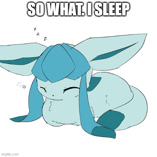 Glaceon loaf | SO WHAT. I SLEEP | image tagged in glaceon loaf | made w/ Imgflip meme maker