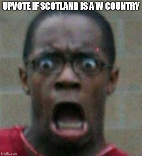 surprised | UPVOTE IF SCOTLAND IS A W COUNTRY | image tagged in surprise | made w/ Imgflip meme maker