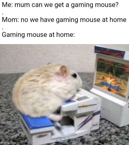 It goes well with my potato pc | Me: mum can we get a gaming mouse?


.
Mom: no we have gaming mouse at home


.
Gaming mouse at home: | image tagged in mom can we have,gaming | made w/ Imgflip meme maker