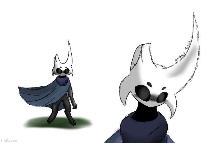 Shēdo yōki my beloved | image tagged in hollow knight,original character | made w/ Imgflip meme maker