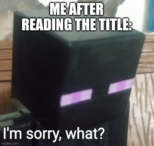 Enderman stare | ME AFTER READING THE TITLE: I'm sorry, what? | image tagged in enderman stare | made w/ Imgflip meme maker
