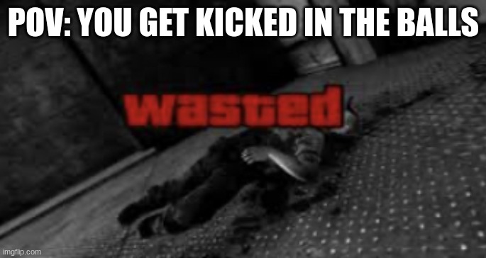 POV me lol | POV: YOU GET KICKED IN THE BALLS | image tagged in wasted | made w/ Imgflip meme maker