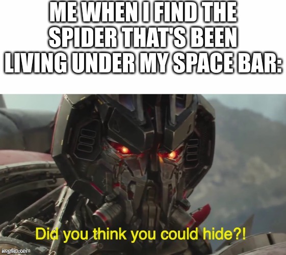 Did you think you could hide? | ME WHEN I FIND THE SPIDER THAT'S BEEN LIVING UNDER MY SPACE BAR: | image tagged in did you think you could hide | made w/ Imgflip meme maker