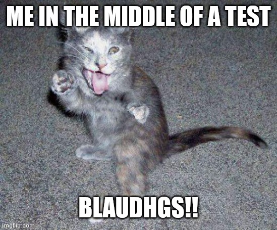 Anyone else do this? | ME IN THE MIDDLE OF A TEST; BLAUDHGS!! | image tagged in adhd cat | made w/ Imgflip meme maker