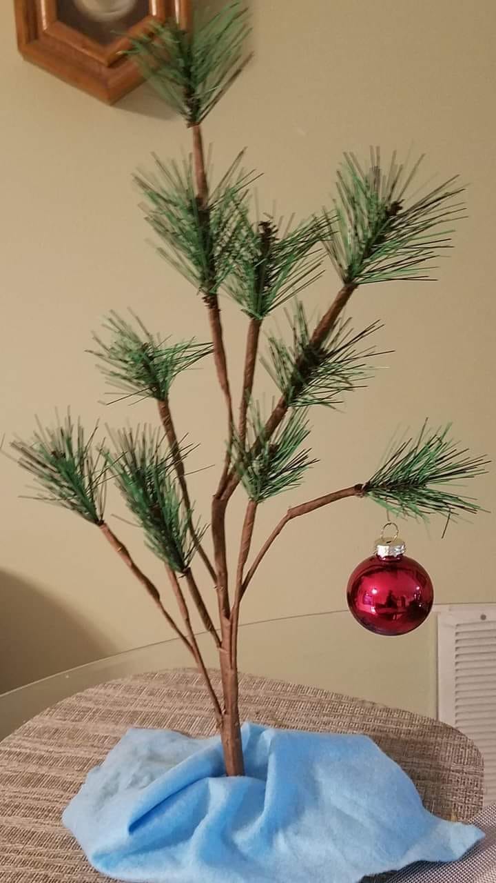 Well. .the tree is finally up and I didn't want to overdo it Blank Meme Template