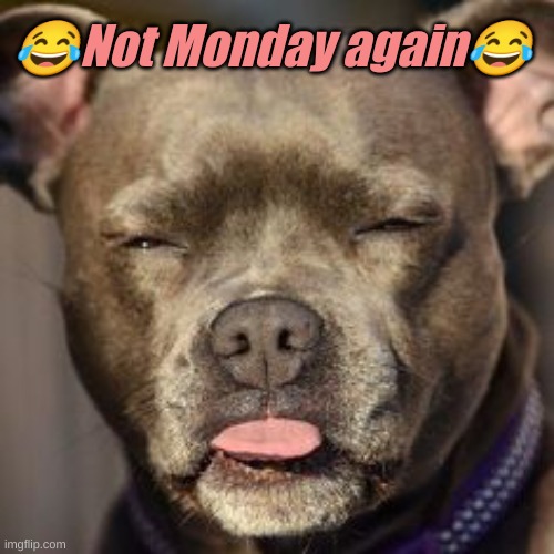 Funny Monday Meme | 😂Not Monday again😂 | image tagged in funny meme | made w/ Imgflip meme maker