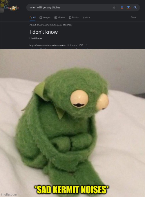 guess its true guys | *SAD KERMIT NOISES* | image tagged in sad kermit,no bitches,google search | made w/ Imgflip meme maker