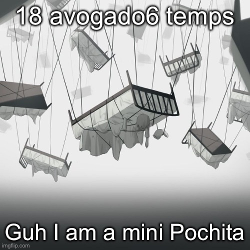 Avogado6 | 18 avogado6 temps; Guh I am a mini Pochita | image tagged in avogado6 | made w/ Imgflip meme maker