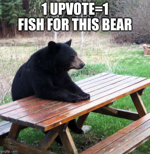 poor mans bear | 1 UPVOTE=1 FISH FOR THIS BEAR | image tagged in poor mans bear | made w/ Imgflip meme maker