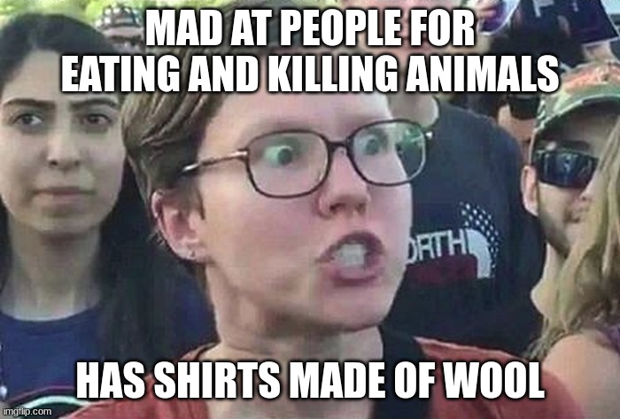 Triggered Liberal | MAD AT PEOPLE FOR EATING AND KILLING ANIMALS; HAS SHIRTS MADE OF WOOL | image tagged in triggered liberal | made w/ Imgflip meme maker