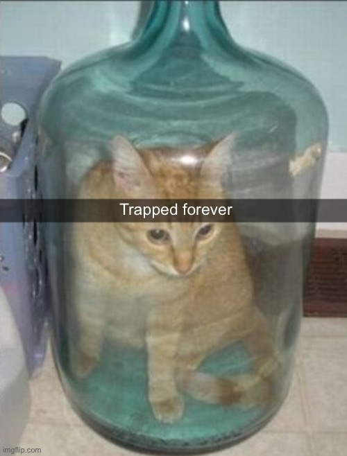 Trapped forever | made w/ Imgflip meme maker