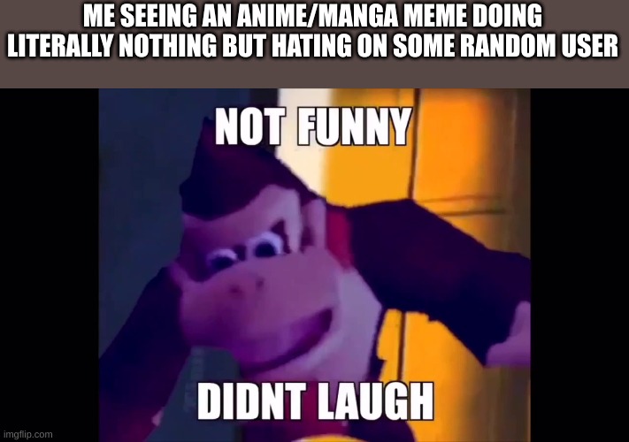 I hate this. Please for the love of bread and doge and all that has the letter E in it STOP | ME SEEING AN ANIME/MANGA MEME DOING LITERALLY NOTHING BUT HATING ON SOME RANDOM USER | image tagged in not funny didn't laugh | made w/ Imgflip meme maker