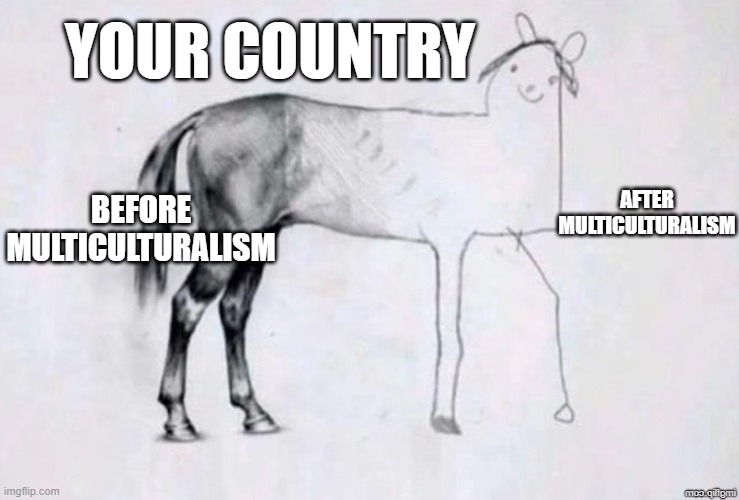 Multiculturalism | YOUR COUNTRY; AFTER MULTICULTURALISM; BEFORE MULTICULTURALISM | image tagged in horse drawing | made w/ Imgflip meme maker