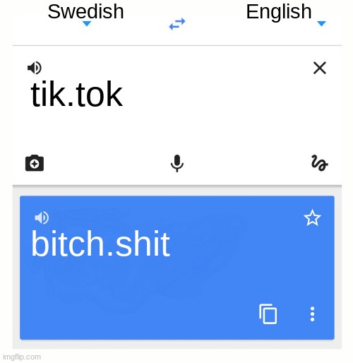 Google Translate | Swedish; English; tik.tok; bitch.shit | image tagged in google translate | made w/ Imgflip meme maker