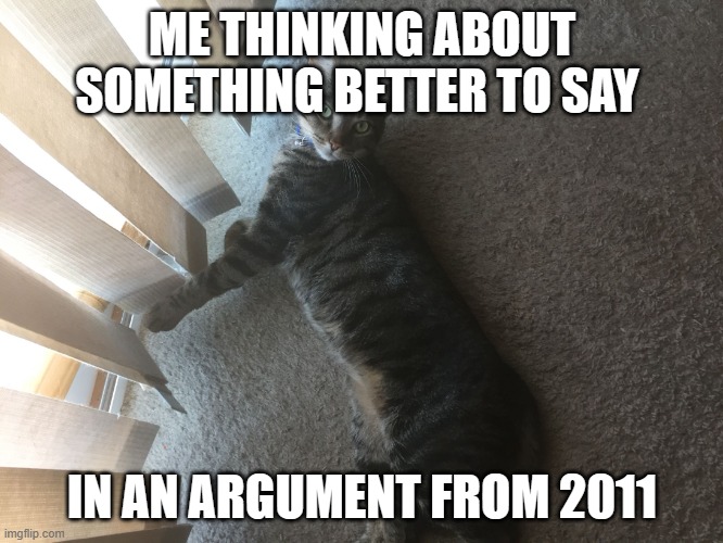 WHEN YOU LAYIN DOWN | ME THINKING ABOUT SOMETHING BETTER TO SAY; IN AN ARGUMENT FROM 2011 | image tagged in when you layin down | made w/ Imgflip meme maker