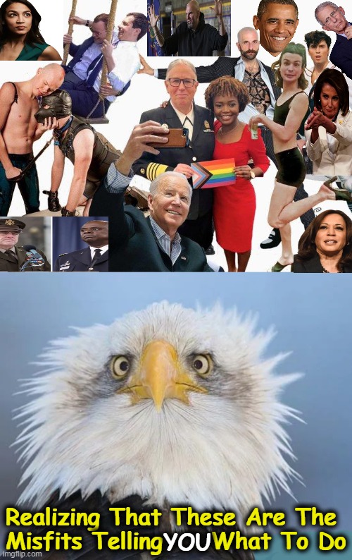 FUNNY but SAD at the Same Time | Realizing That These Are The 
Misfits Telling     What To Do; YOU | image tagged in politics,political humor,joe biden,admin,aha moment,imgflip humor | made w/ Imgflip meme maker