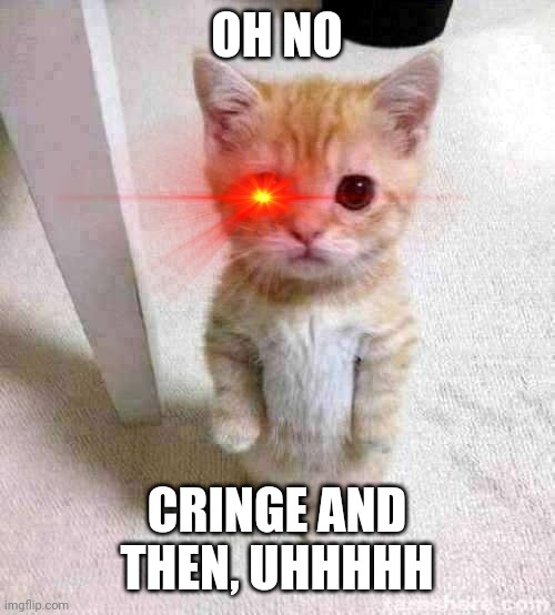 My life got kill me | OH NO; CRINGE AND THEN, UHHHHH | image tagged in memes,cute cat,2023,happy new year,i'm freaking out,cats | made w/ Imgflip meme maker