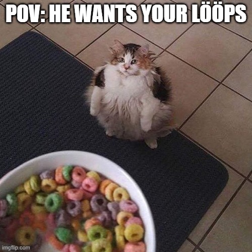 no, you cannot kick him out the window | POV: HE WANTS YOUR LÖÖPS | image tagged in he want them | made w/ Imgflip meme maker