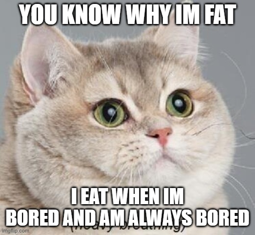 Heavy Breathing Cat | YOU KNOW WHY IM FAT; I EAT WHEN IM BORED AND AM ALWAYS BORED | image tagged in memes,heavy breathing cat | made w/ Imgflip meme maker