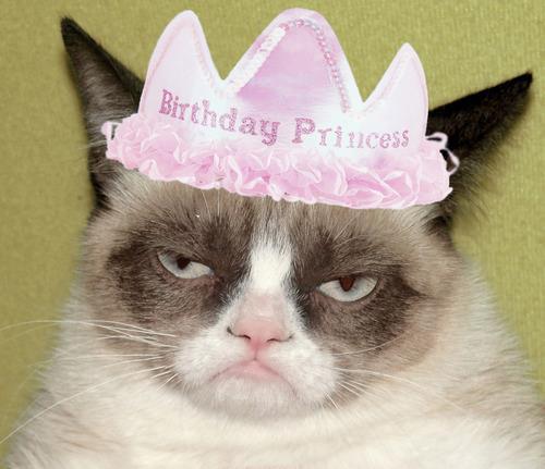 High Quality Grumpy cat birthday Blank Meme Template