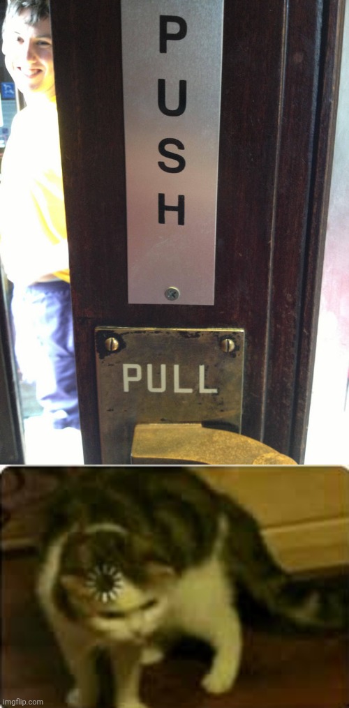 Push, pull | image tagged in buffering cat,push,pull,door,you had one job,memes | made w/ Imgflip meme maker