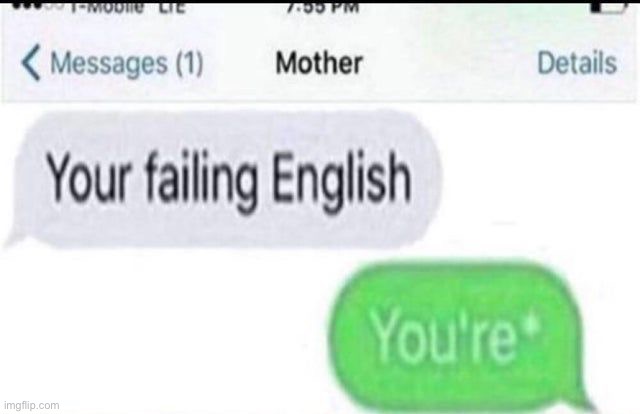 Crazy part is im failing english so i can use this against my Mom | made w/ Imgflip meme maker